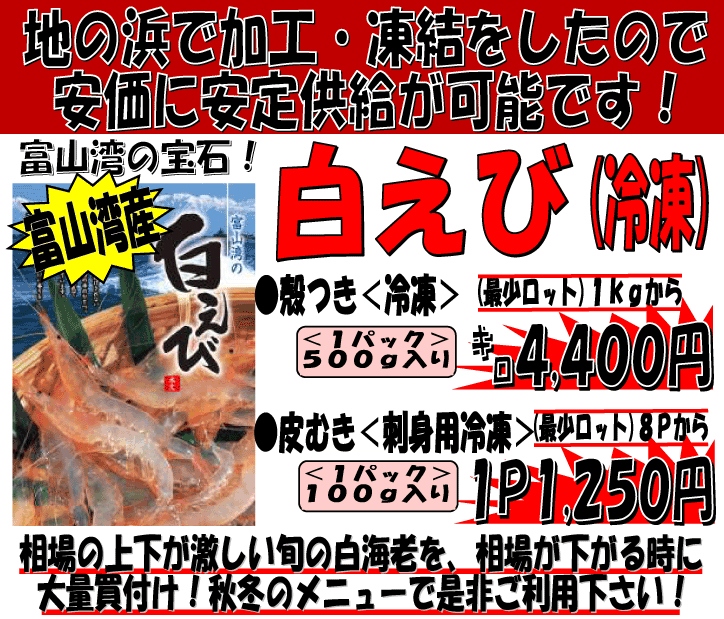 �x�R�p�Y�@�Ⓚ���G�r