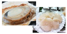 �O�����ΎY�@�j������z�^�e