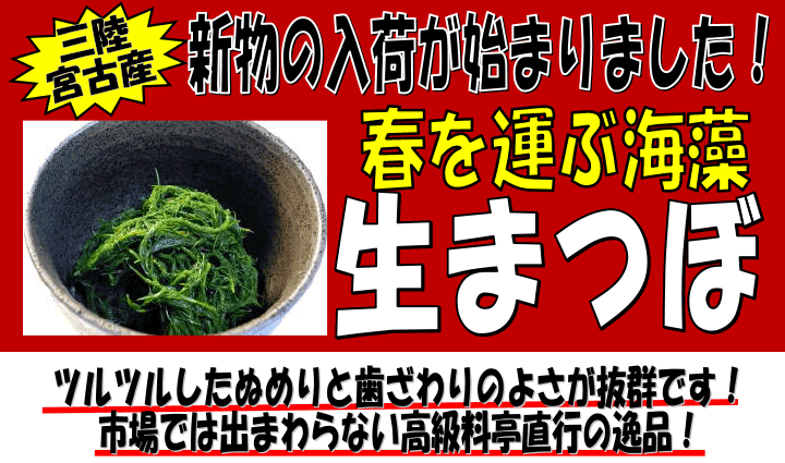 �O���{�ÎY�@���܂ځi���܂��j