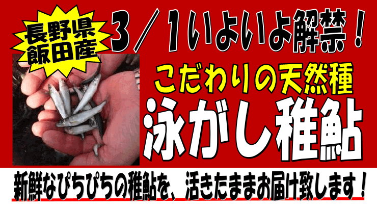 ���쌧�ѓc�Y�@�j�����t�A��