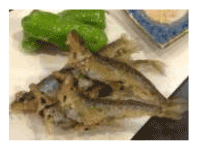 ���쌧�ѓc�Y�@�j�����t�A��