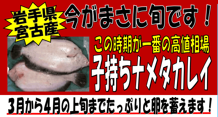 ��茧�{�ÎY�@�q�����i���^�J���C