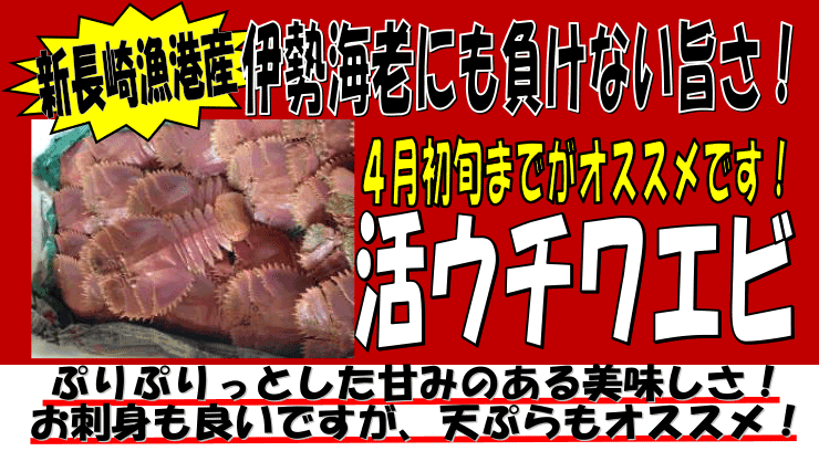 �V���苙�`�@���E�`���G�r