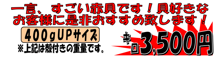 �V���苙�`�@�V�R������!����ԊL