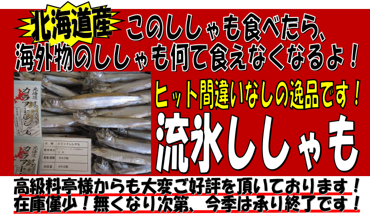 �k�C���Y�@���X�������