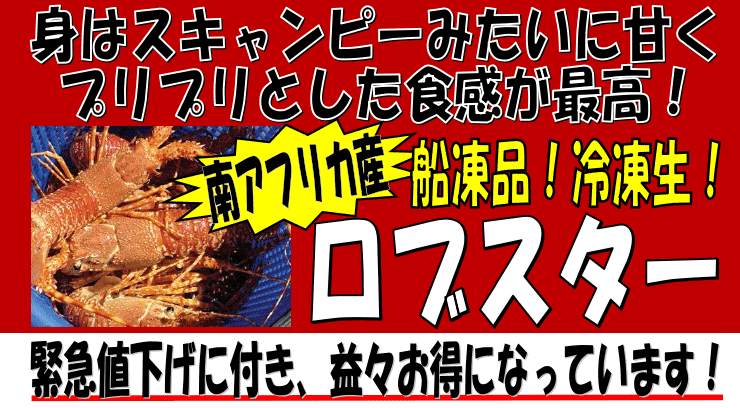 ��A�t���J�Y�@���Ⓚ���u�X�^�[