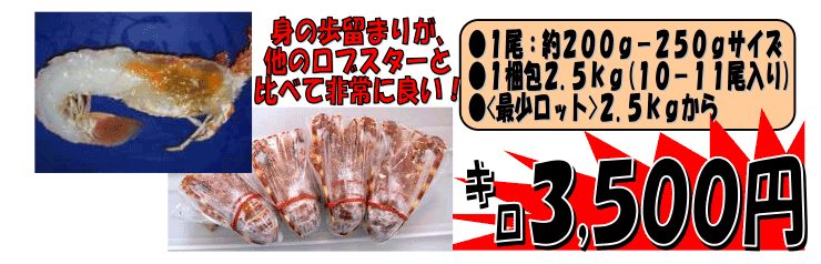 ��A�t���J�Y�@���Ⓚ���u�X�^�[