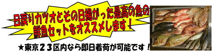 ����Y�@���߂芏