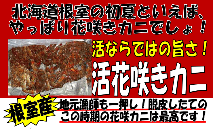 �k�C�������Y�@���ԍ炫�J�j