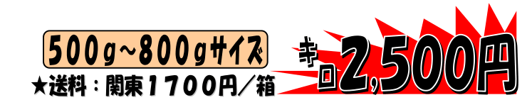 �k�C�������Y�@���ԍ炫�J�j