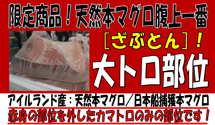 �V�R�{�}�O�������ԁ@��g������