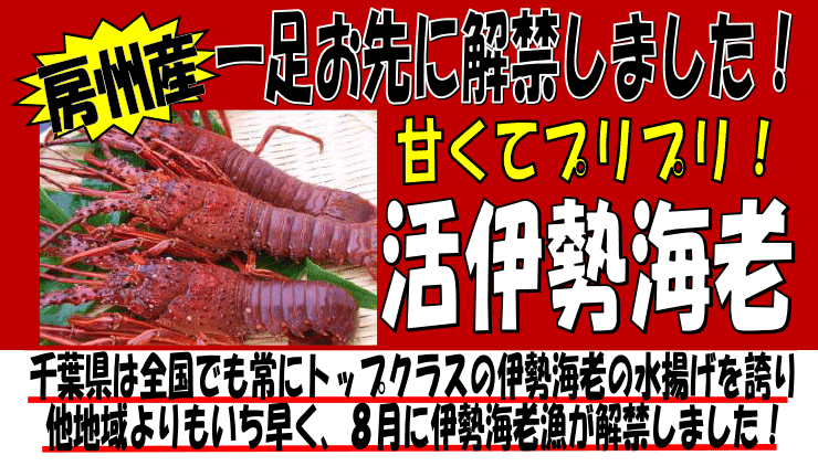 ��t���[�B�Y�@�ɐ��C�V