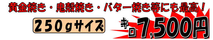 ��t���[�B�Y�@�ɐ��C�V