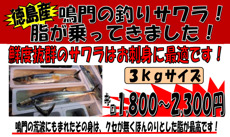 ������@�ރT����