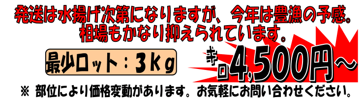 �X����ԎY�@���}�O��