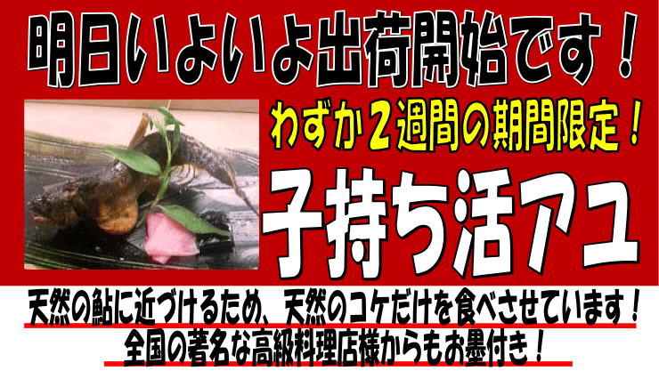 ���쌧�ѓc�Y�@�q�������A��