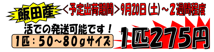 ���쌧�ѓc�Y�@�q�������A��