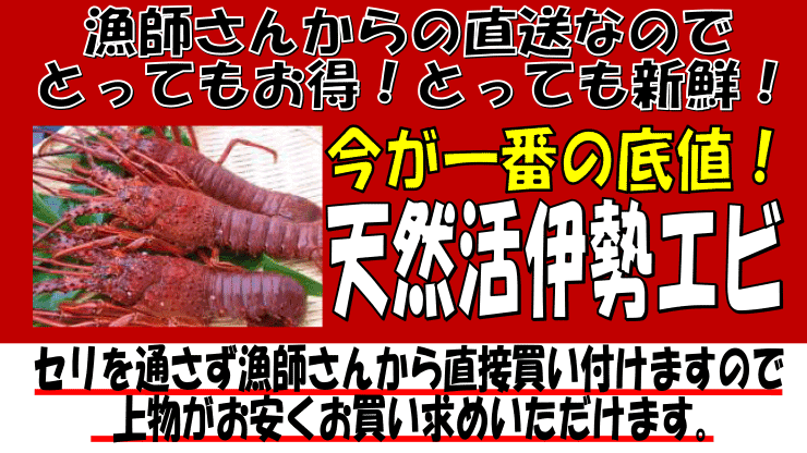 �������Y�@�V�R���ɐ��C�V