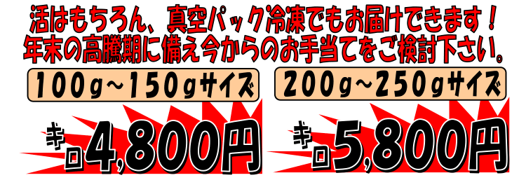 �������Y�@�V�R���ɐ��C�V