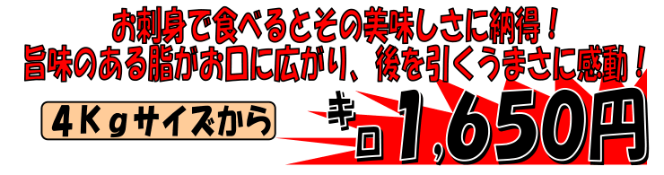 ���쌧�Y�@�I���[�u�n�}�`