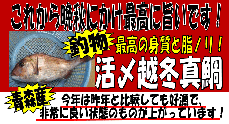 �X���Y�@���Y�z�~�^��