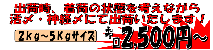 �X���Y�@���Y�z�~�^��