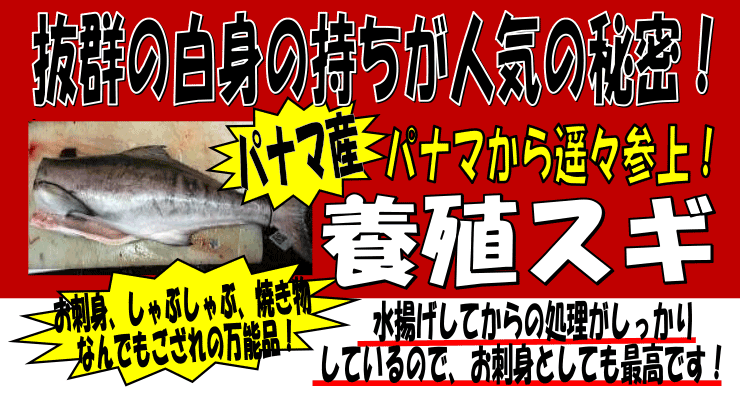 �p�i�}�Y�@�{�B�X�M