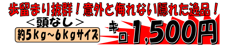 �p�i�}�Y�@�{�B�X�M