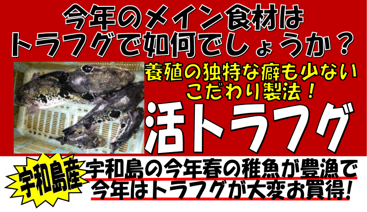 ���Q���F�a���Y�@�{�B���g���t�O