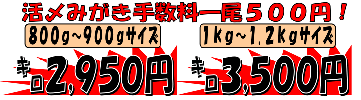 ���Q���F�a���Y�@�{�B���g���t�O