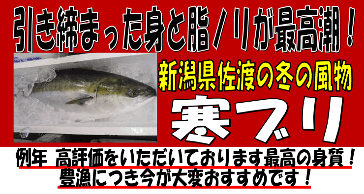 �V�������n�Y�@���u��