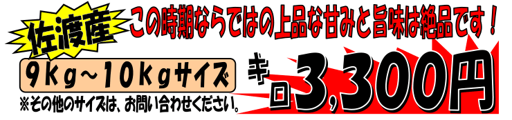 �V�������n�Y�@���u��