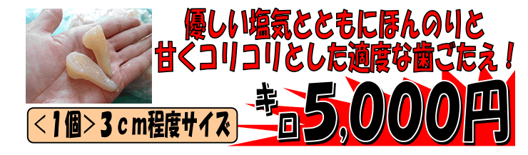 ���茧�Y�@�^��L�i�A�R���L�j���L��