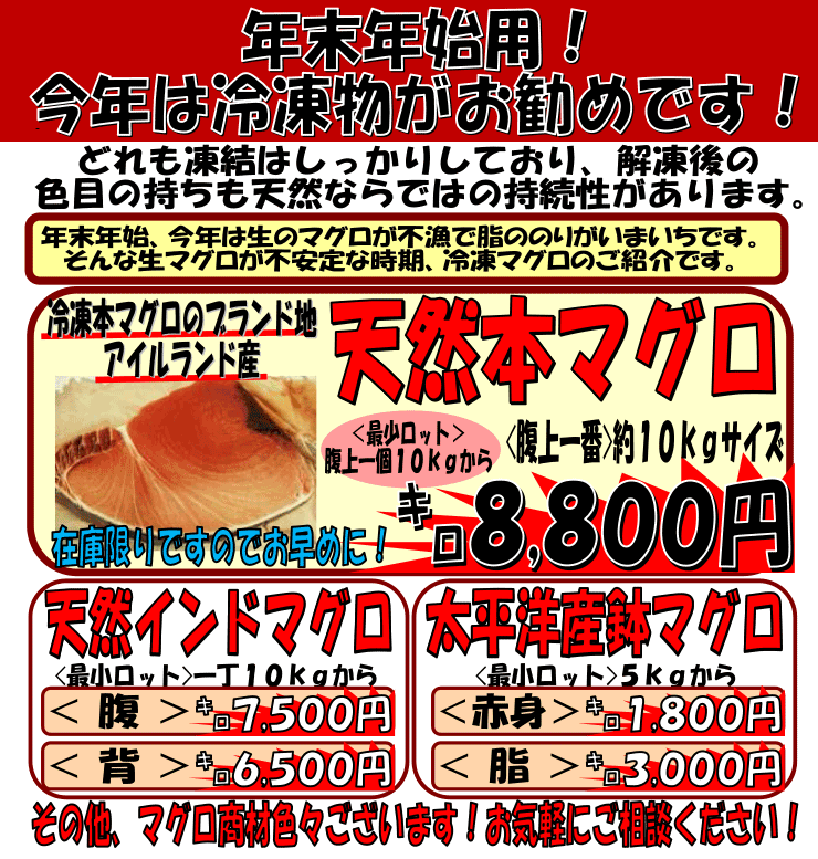 �V�R�{�}�O���E�C���h�}�O���E���}�O��