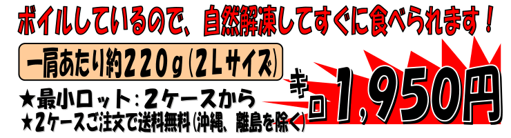 �{�C���Y���C��