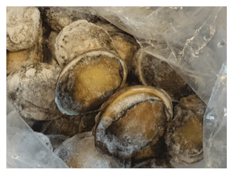 �O���Y�@�Ⓚ�A���r�@��T�C�Y