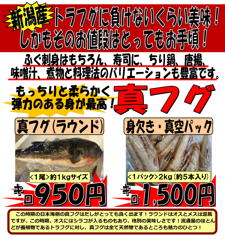 �V���Y�@�^�ӂ�