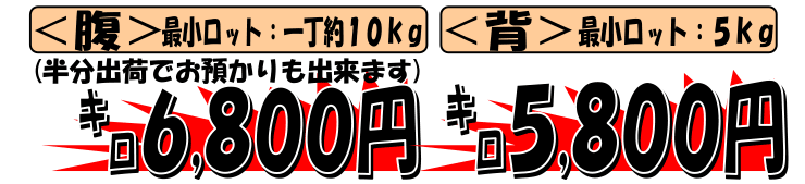 �V�R�V���I�@�Ⓚ�C���h�}�O��