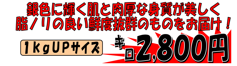 >�Ó�Y�@������