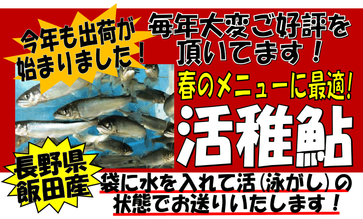 ���쌧�ѓc�Y�@���t�A��