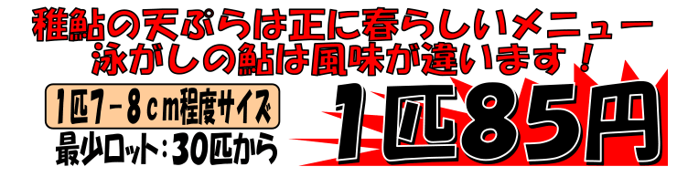 ���쌧�ѓc�Y�@���t�A��