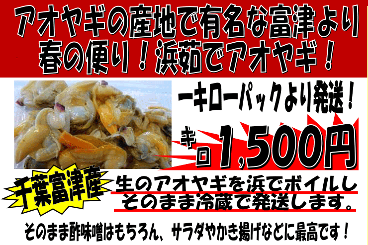 ��t���x�ÎY�@�A�I���M