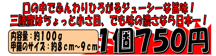 �O���Y�@�ъI�b������