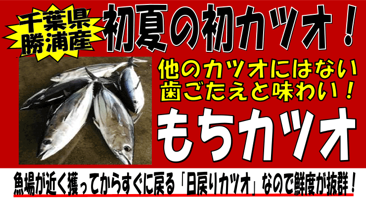 ��t�����Y�Y�@�����J�c�I