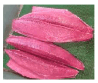 ��t�����Y�Y�@�����J�c�I