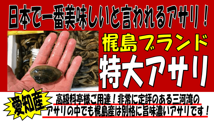 ���m�������@����A�T��