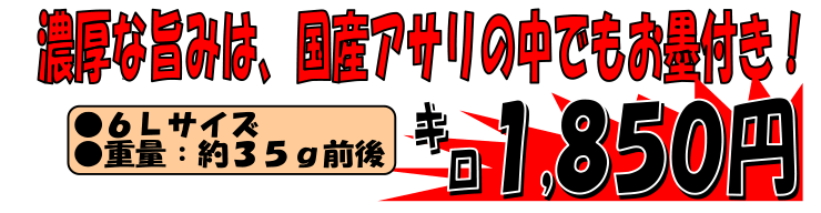 ���m�������@����A�T��