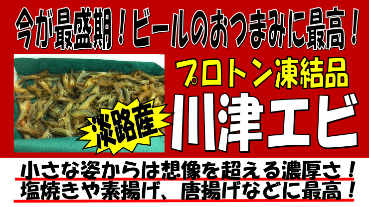 �W�H�Y�@��ÃG�r