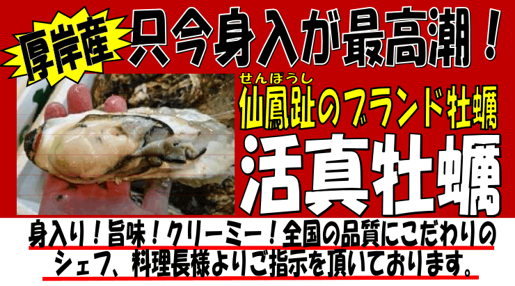 ���݁E��P��@���^���y