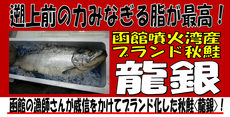 ���ٕ��Θp�Y�H���@�y����z